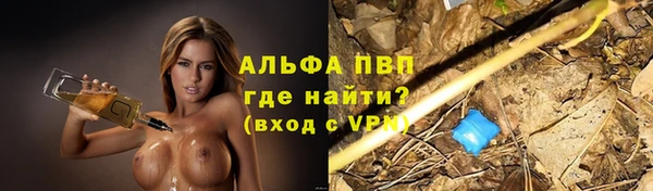 стаф Гусев