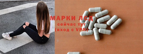 стаф Гусев