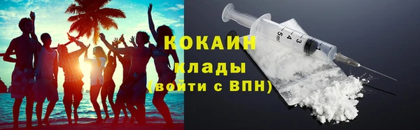 стаф Гусев