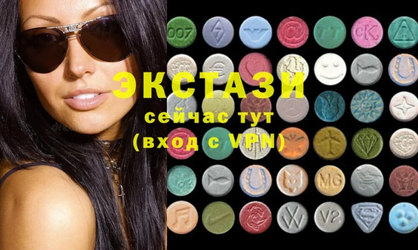 ECSTASY Гусь-Хрустальный