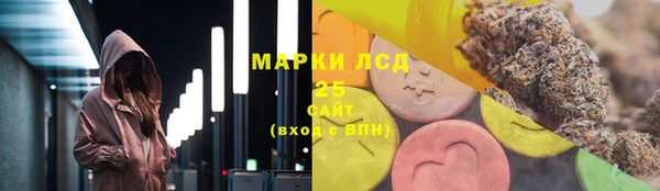 стаф Гусев