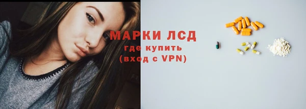 стаф Дмитров
