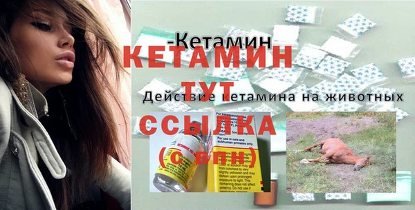 стаф Дмитров