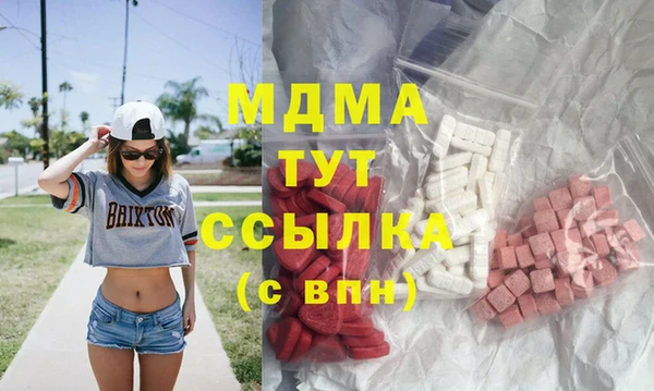 ECSTASY Гусь-Хрустальный