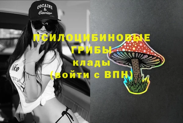 стаф Гусев
