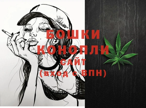 ECSTASY Гусь-Хрустальный