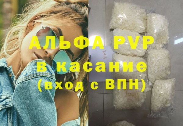 стаф Гусев