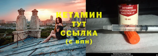 ECSTASY Гусь-Хрустальный