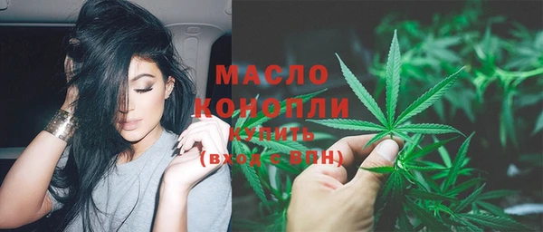 стаф Дмитров