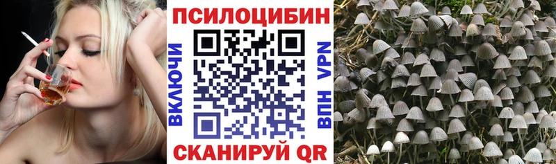 Галлюциногенные грибы мицелий  гидра ТОР  Дигора 